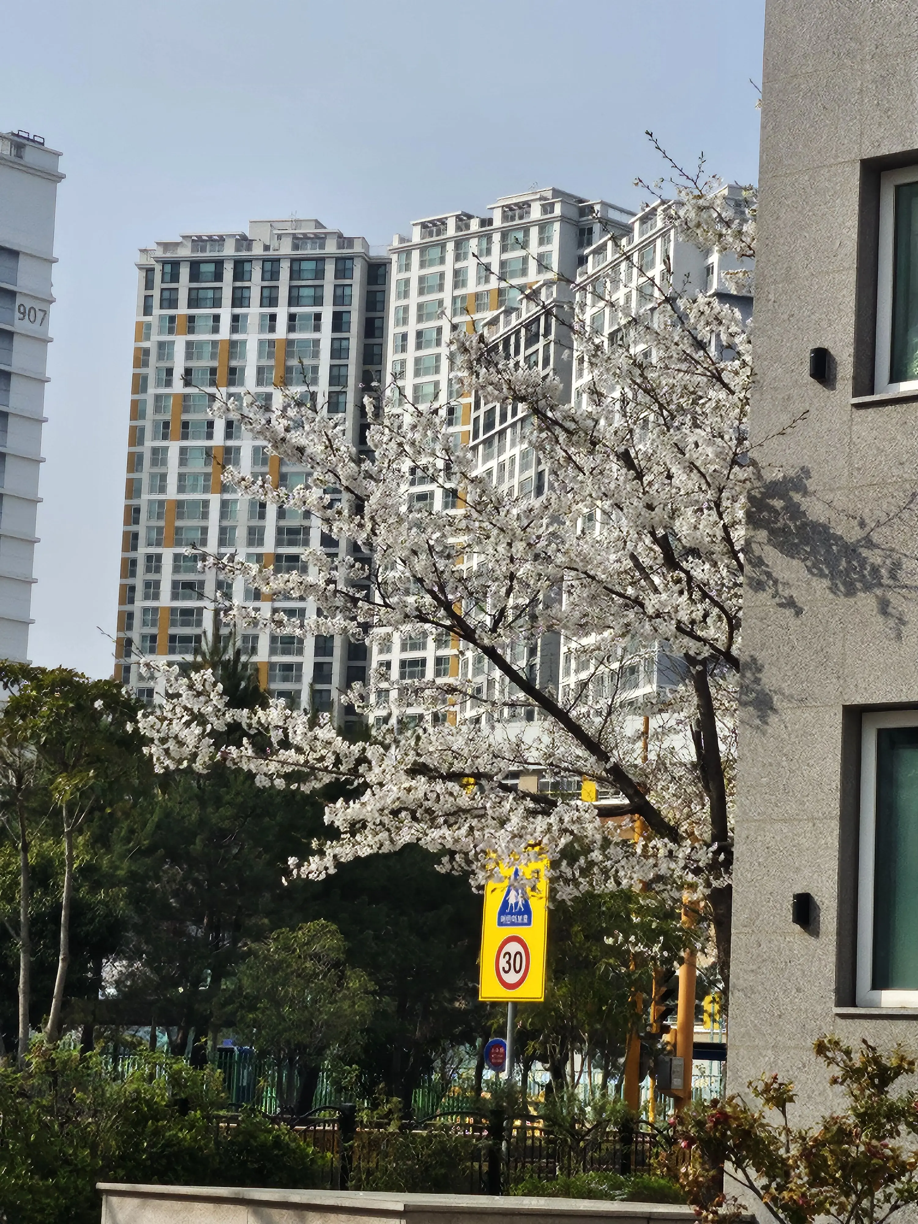 My_type의 귀엽긴~