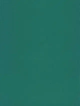 NicePath7488의 ゾンビの貴方と、人類最後の討伐隊。