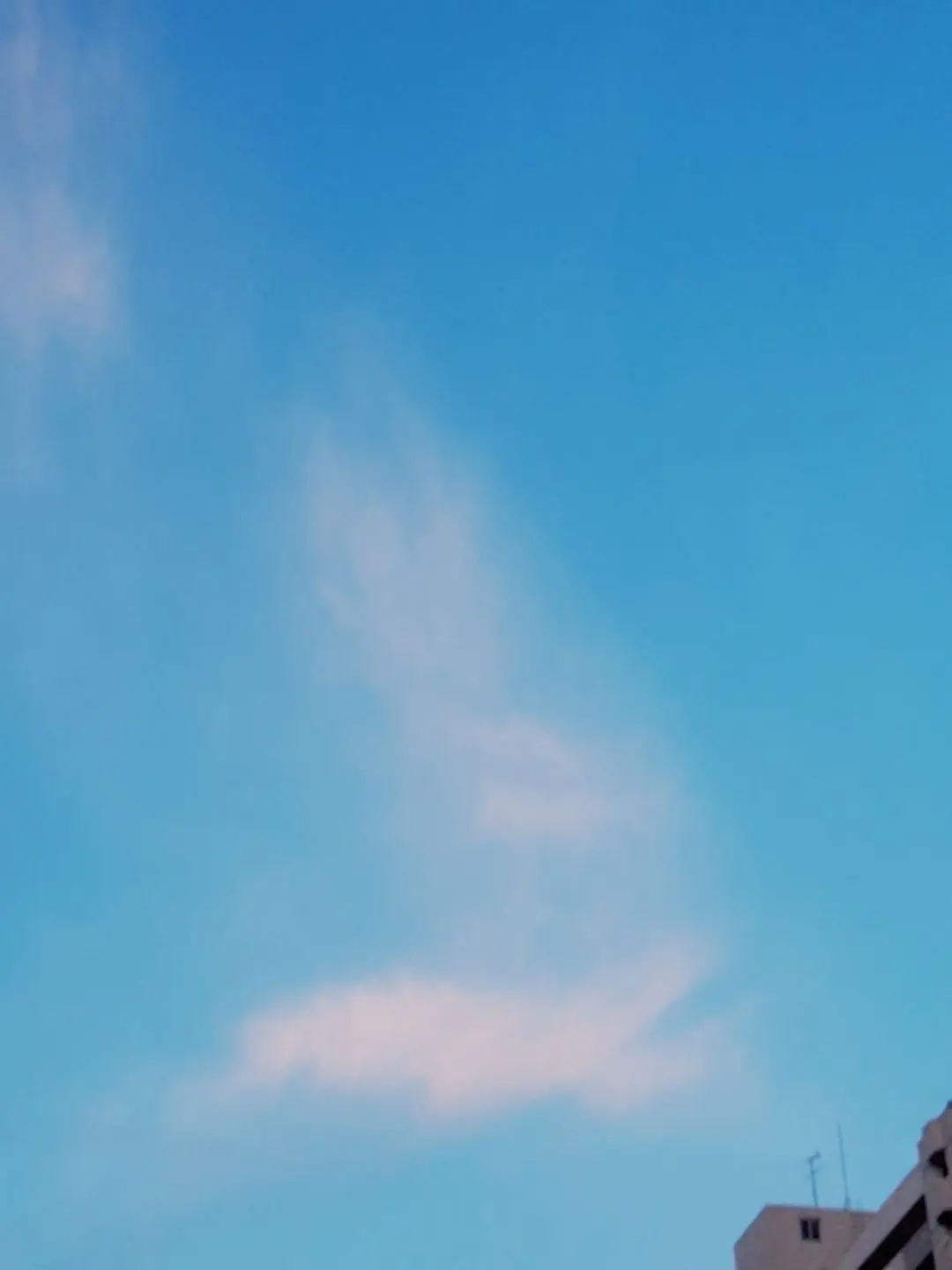 NewNail4857의 한동민