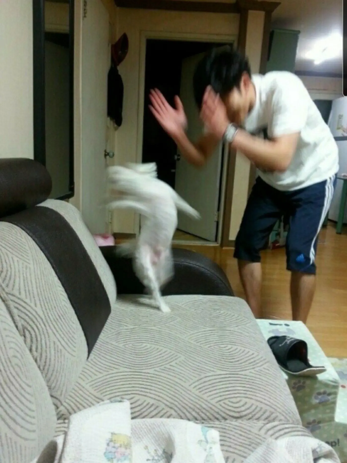 happy_312의 해삐들과 동거
