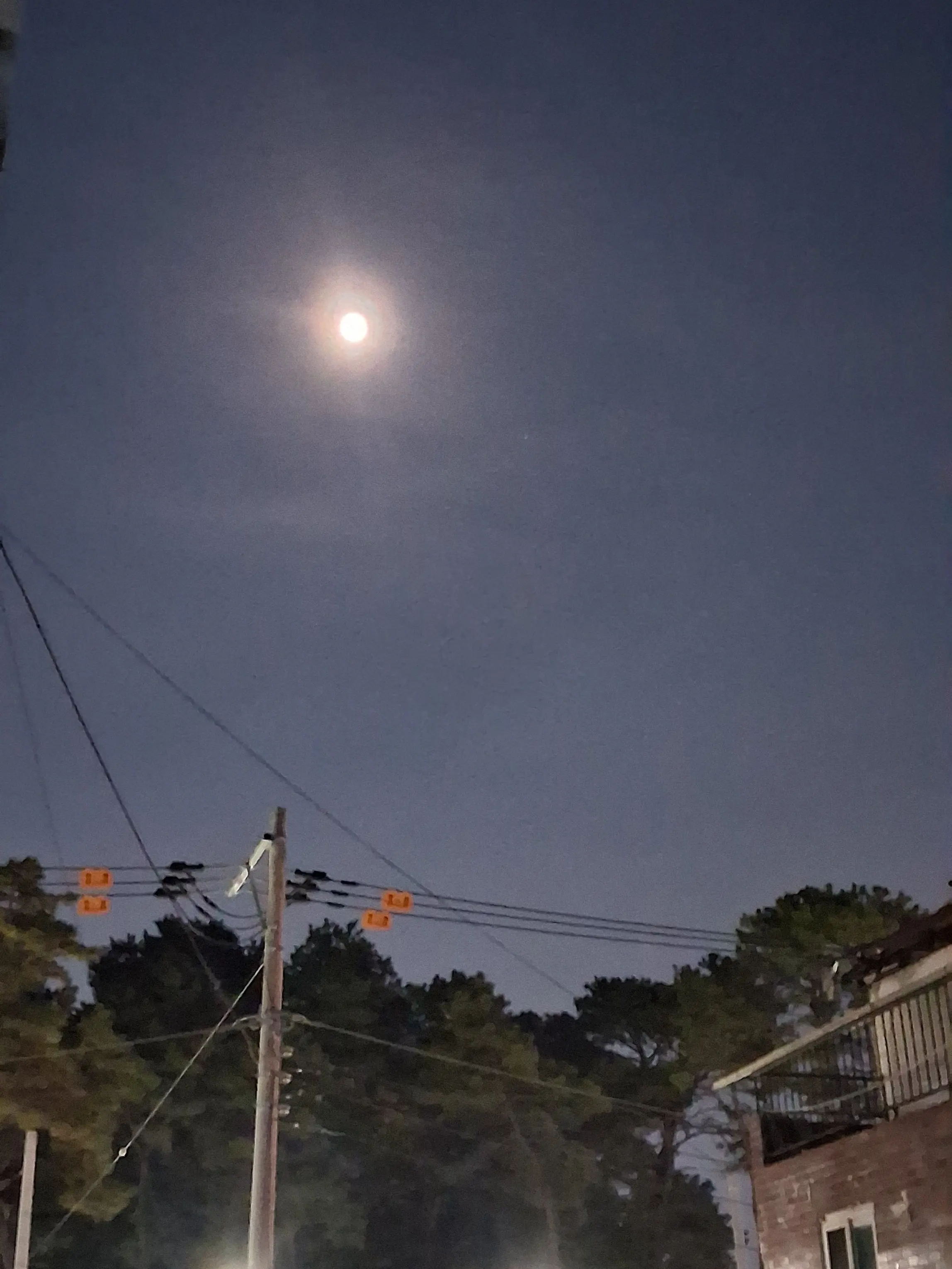 5.29의 박지훈의 치약 아니아니 연애