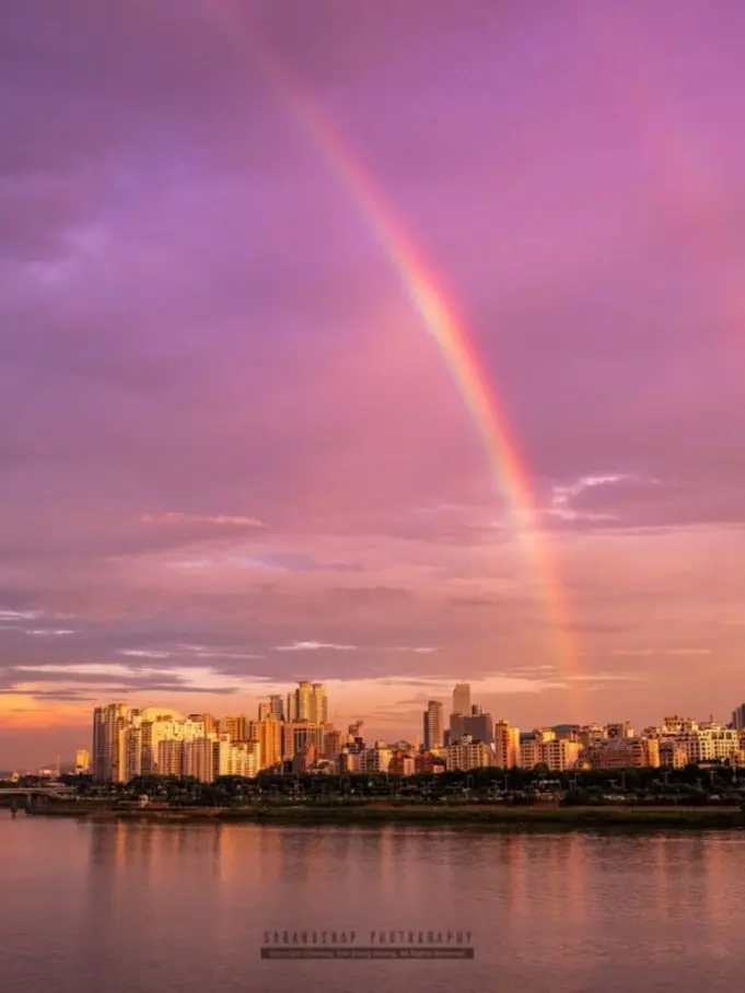 _55555_55555_의 뜰팁 유치원