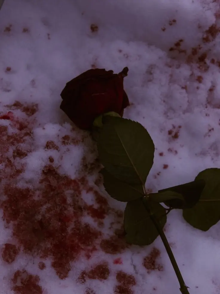 LovelyTail0433의 초능력자와 악마가 나타난 세상