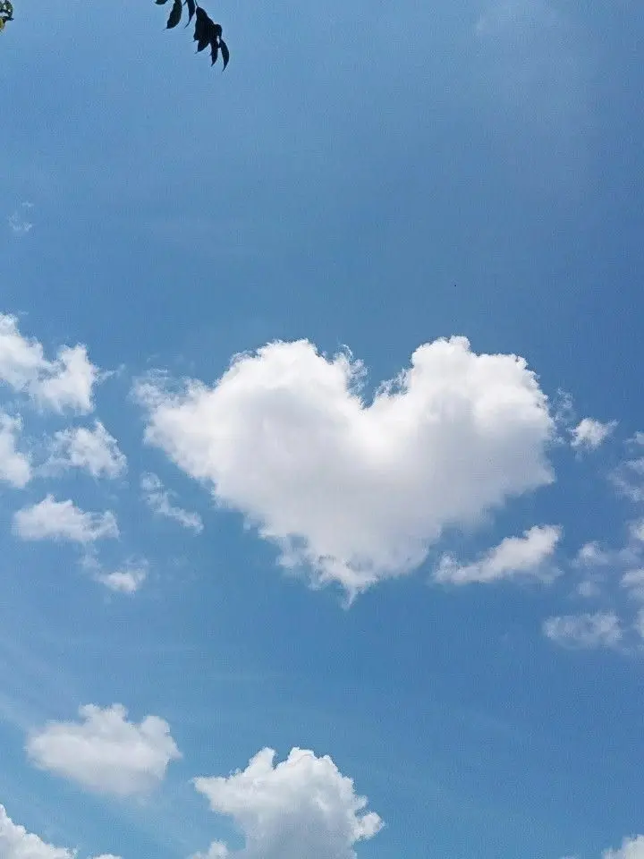 MMIXX_XOXO의 장규진