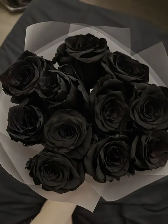 IcyHut0855의 오윤환