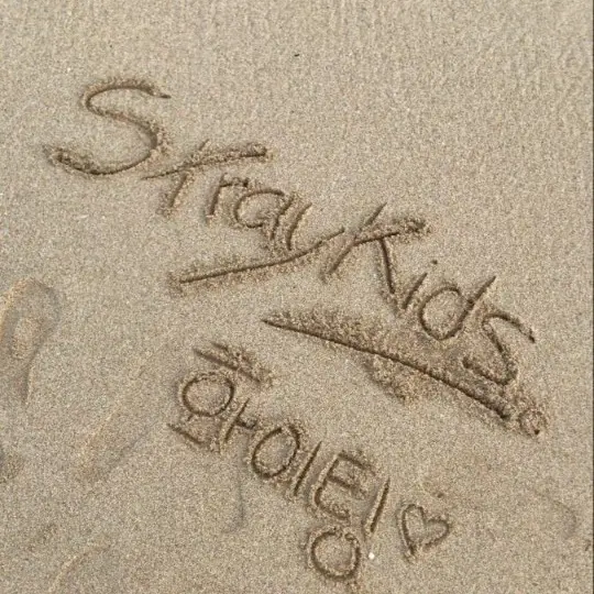 ExoticHorse4917의 방찬