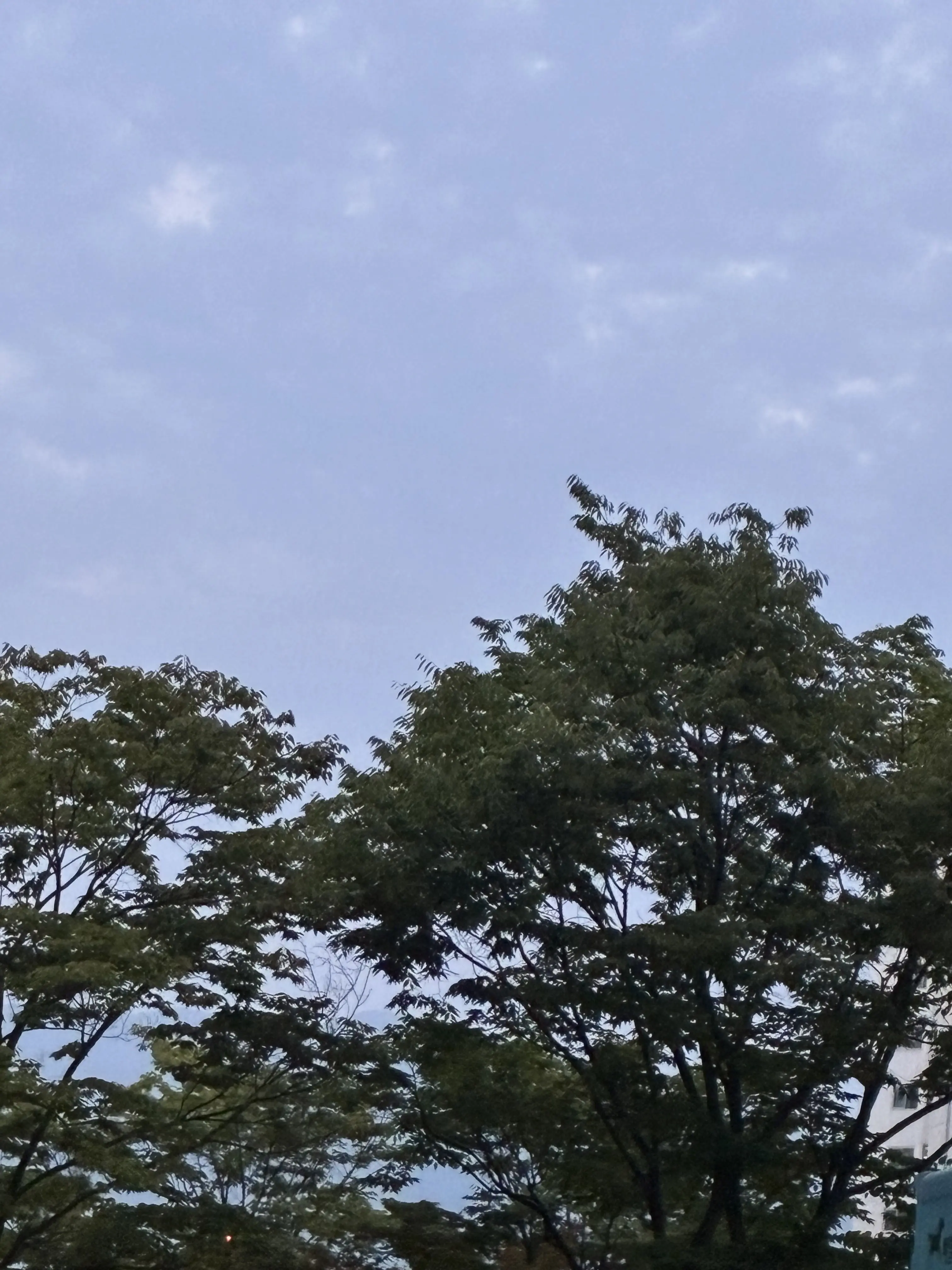 ayu_Love_0411의 꽥꽥 탐험대+여우
