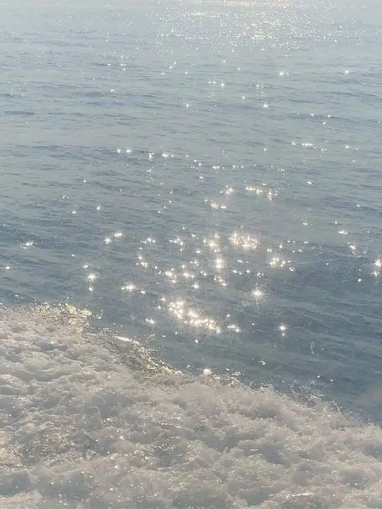 NimbleCold3867의 컨휴+용족학교🐉