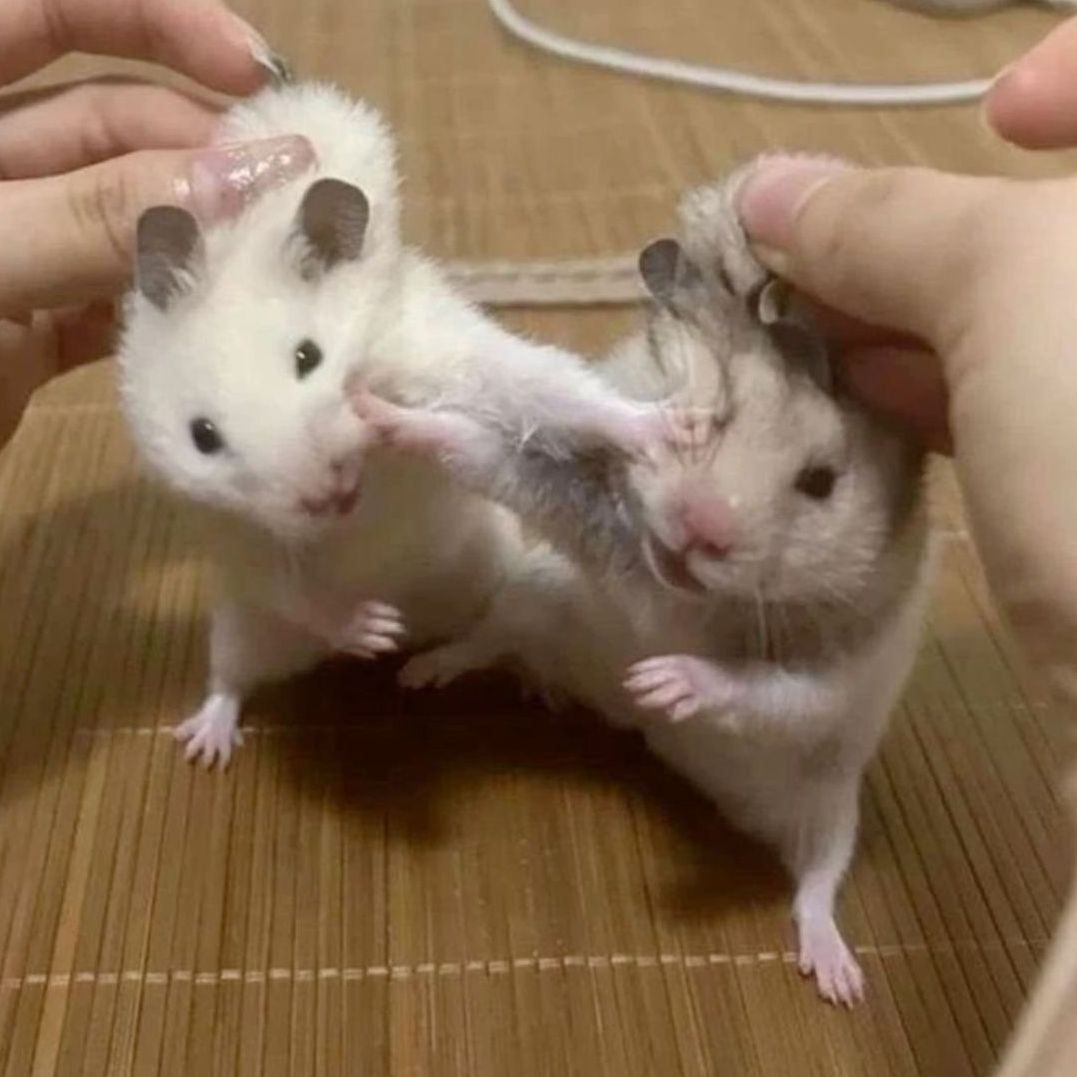 삼각관계 대표 이미지