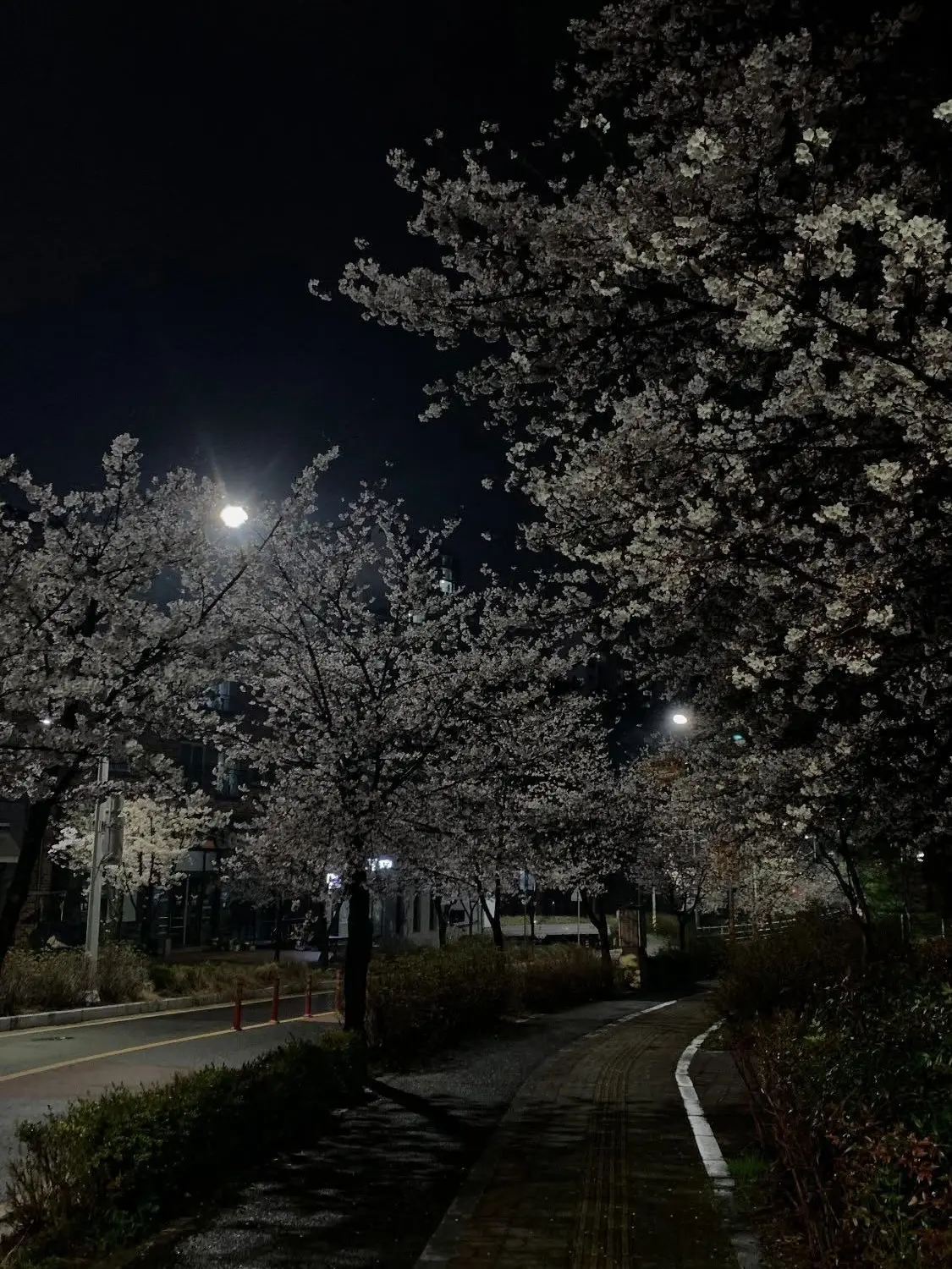 Lu_cia의 つ〜わ
