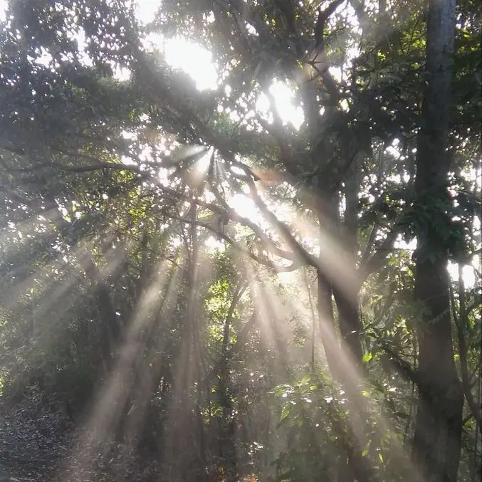 lwantgohome_love_house의 레드헬의 햇살