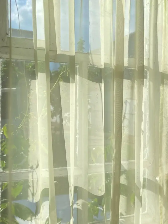 ED_oxox의 패러다이스 , 뜰팁 조직