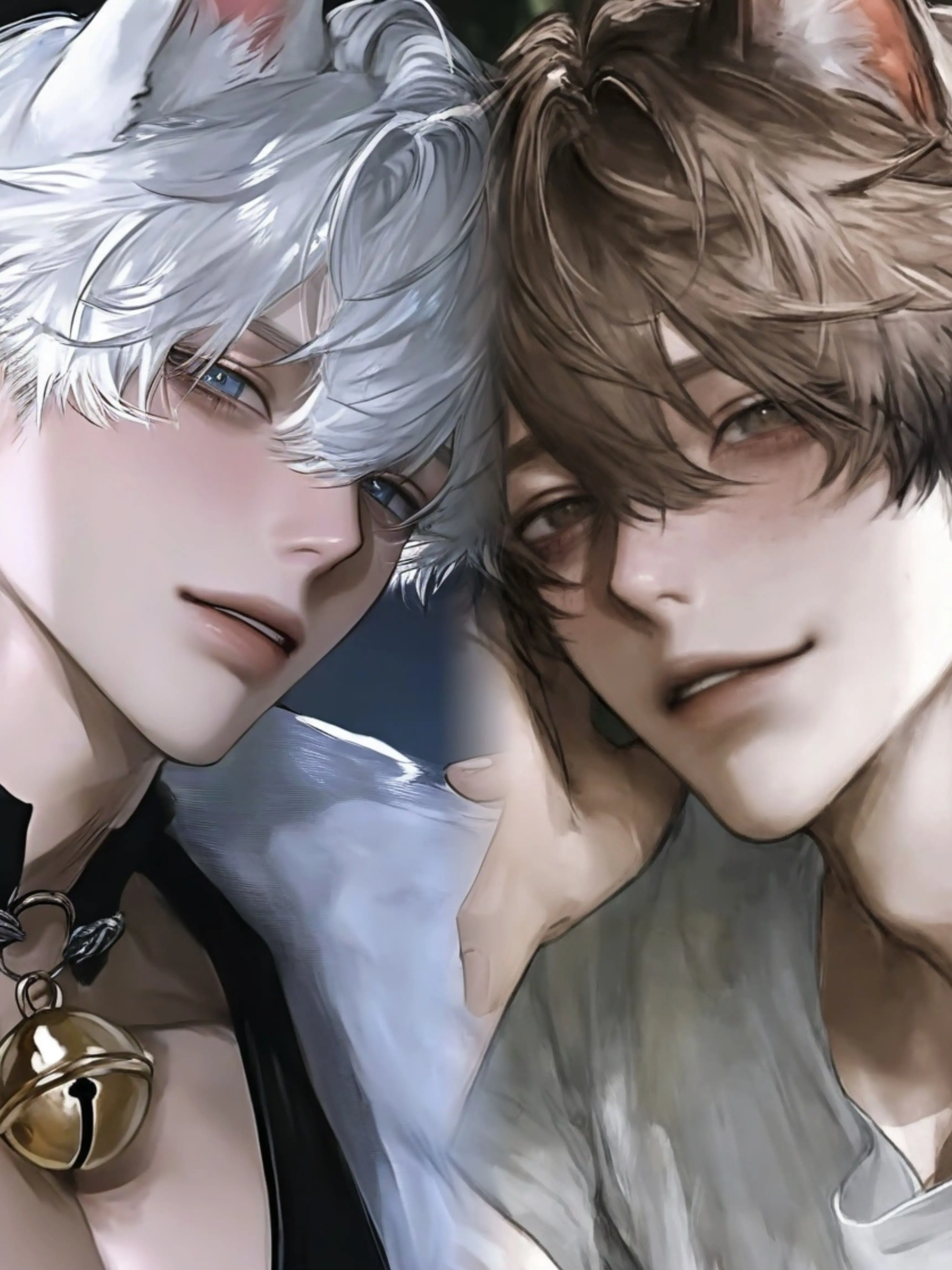 __x.uly의 飼い猫と野良が戦ってる
