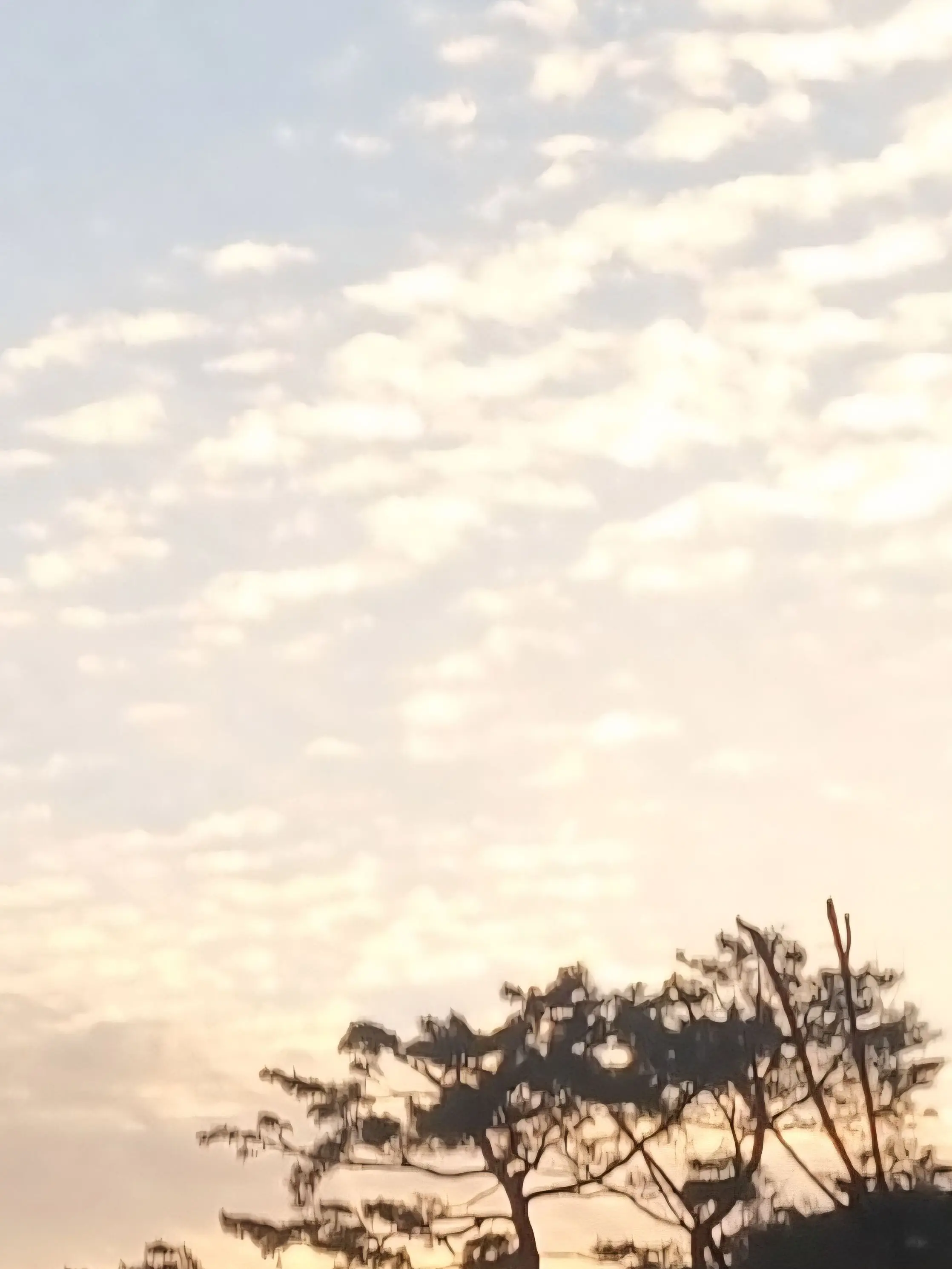 codenamethistle의 실망과 배신감