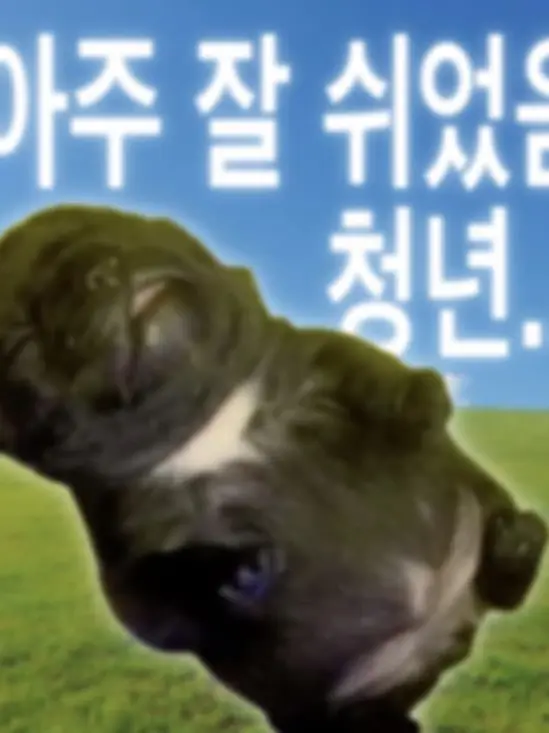 Ekileee1004의 신청란