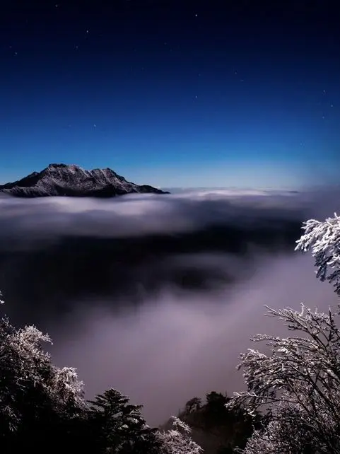 fuwafuwa_ofuton의 娶って！若王寺せんぱい！