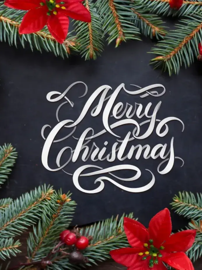 FussyGrebe8863의 포세이큰 크리스마스!