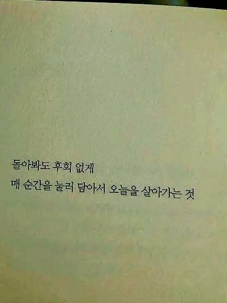 IcE_CreAm.mint의 🧟‍♂️👤🧟‍♀️