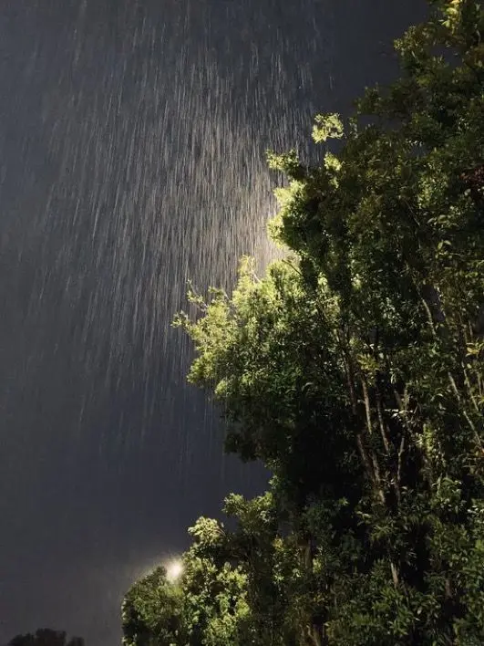 Wishyeon의 오시온