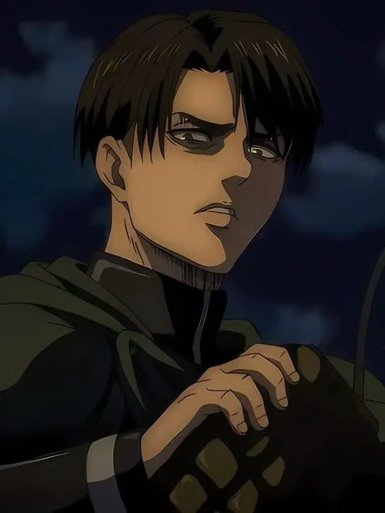 pinkunicornhorn의 Levi Ackerman