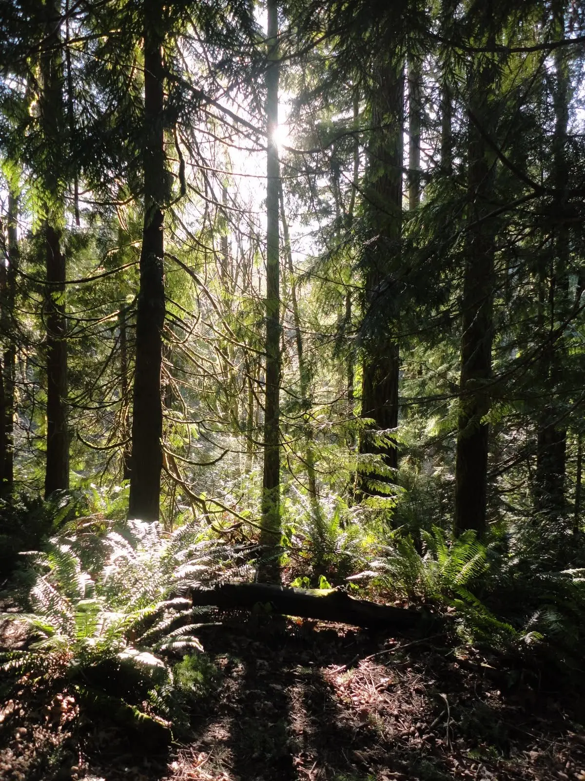 Eorae_0420의 우리만의 세상이니까.