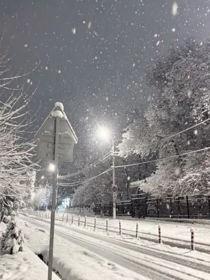 tukiki_music의 Love is Like Light Snow