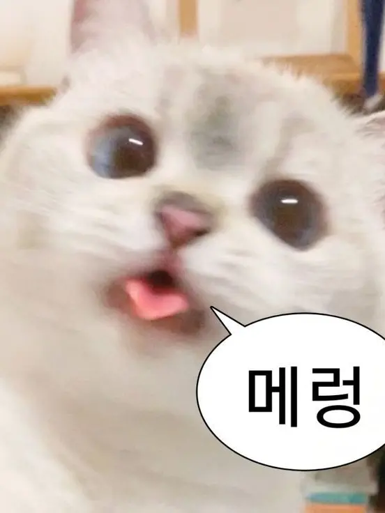 rainbowjin의 팀나빠/고프- 마법 아카데미