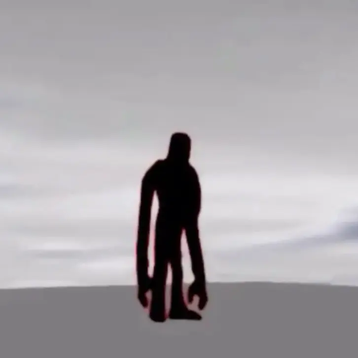 MeekPixel4319의 포세이큰 플라워