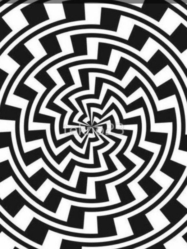 팀나빠의 동거생활ㄹㄹ 유저가 막내! 대표 이미지