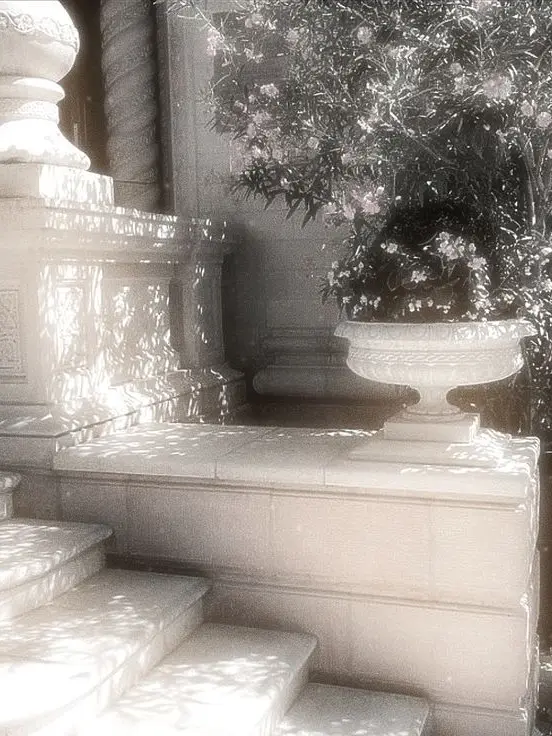 Notpretty의 내 첫사랑은 악마였다.