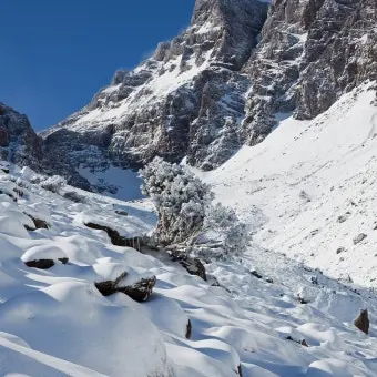 Azure_Reaper의 넌..누구야?