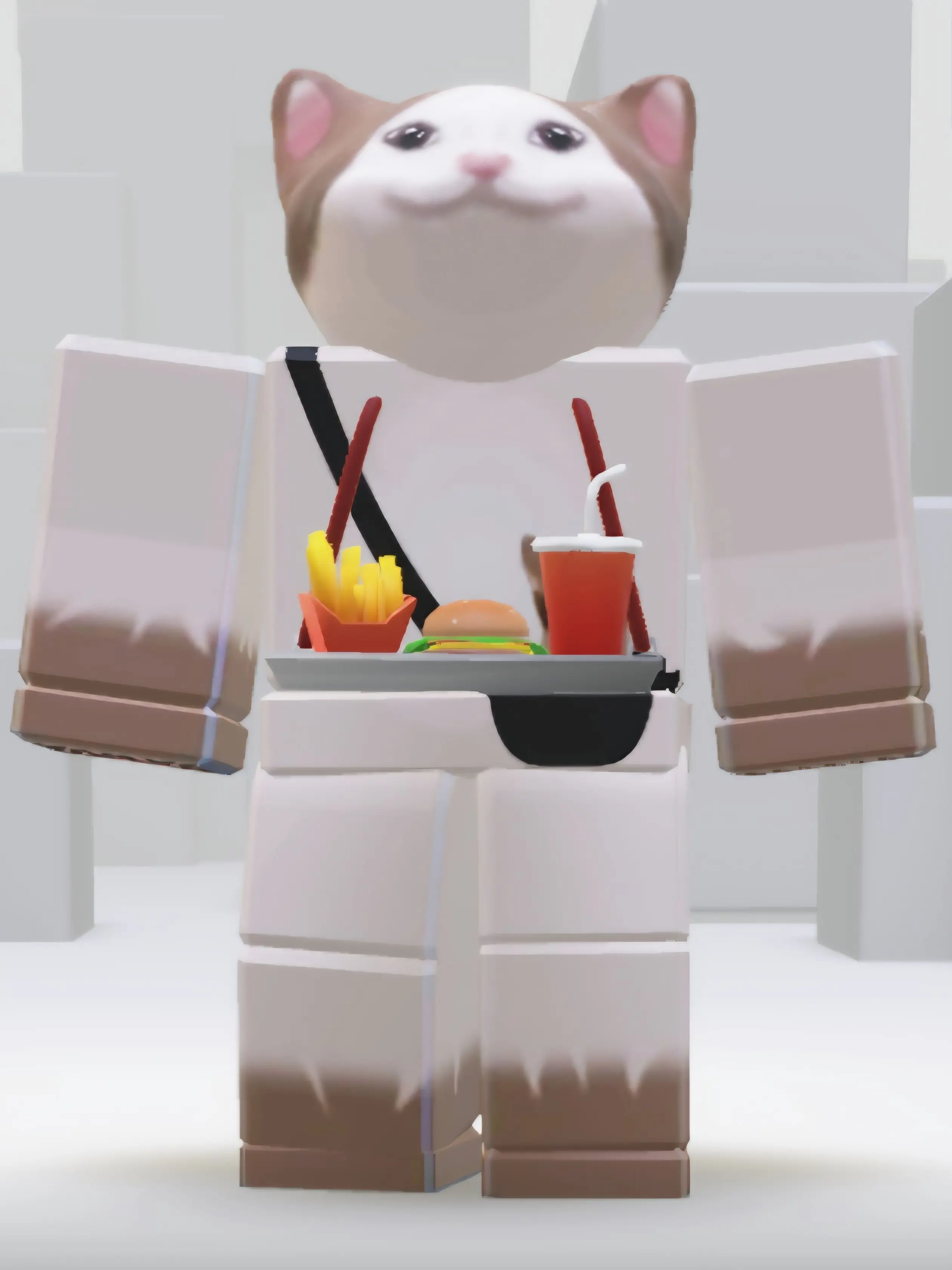 ClassyIdea9198의 햄버거를 좋아하는 고양이