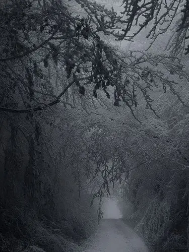 Lubong1234의 머더드론 캠프^^(feat.🦊)