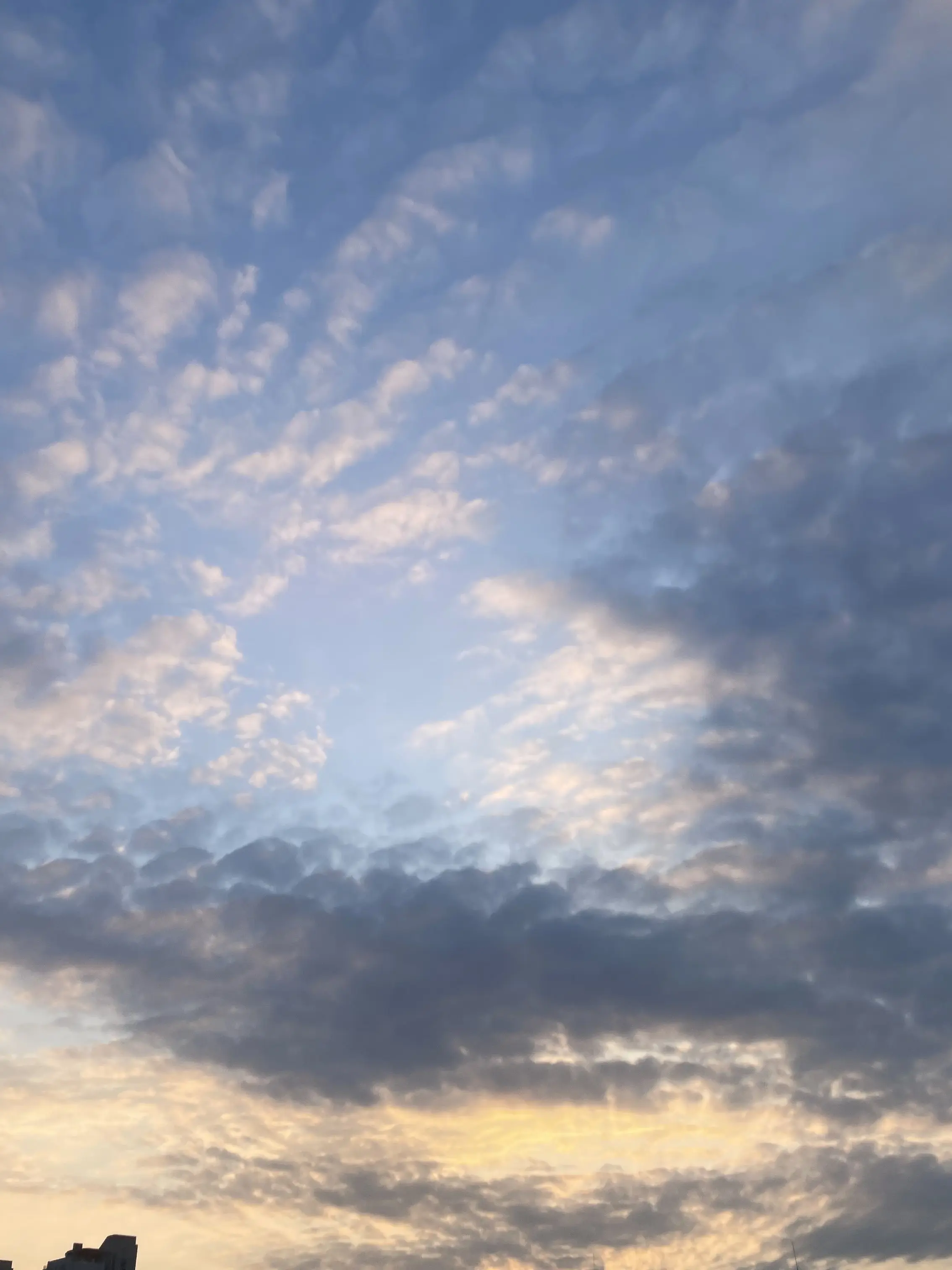 FluidEra2836의 뜰팁,주인장(냐냐)하고 +여우