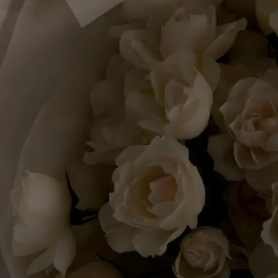 kaien1212의 🥀 🥈