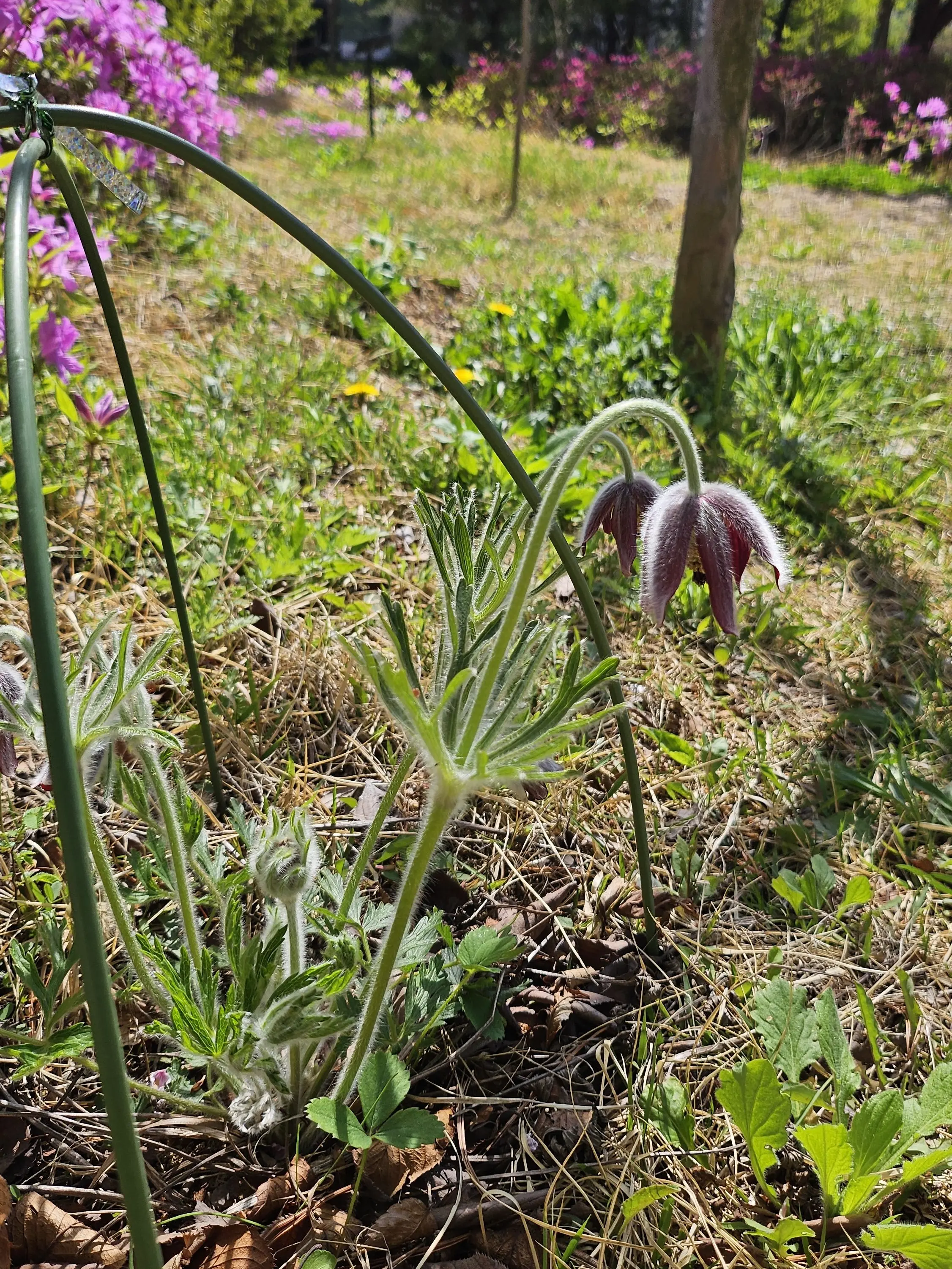 AS-and-Two_time의 포세이큰 동거