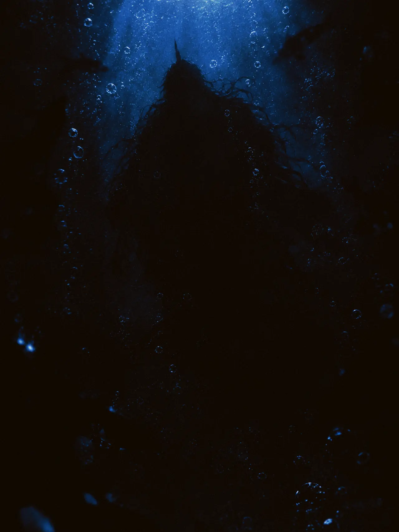 hutonmfmf의 Encounter