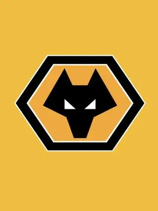 TOTTENHAM.HOTSPUR의 WOLVES