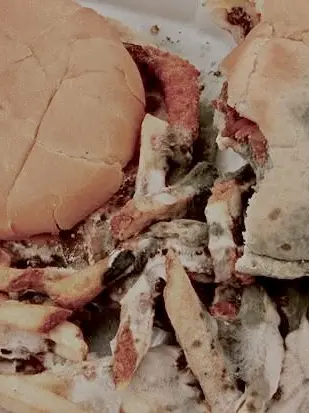 Cyan_XD의 썩은 햄버거의 사랑고백