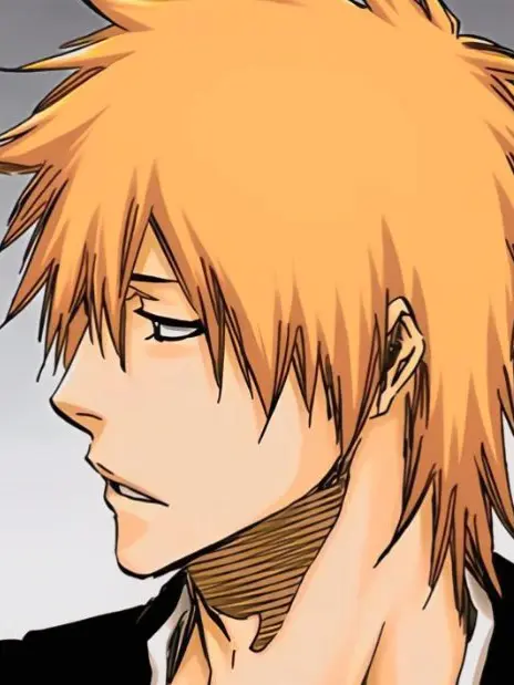 SecureLily1161의 Ichigo Kurosaki