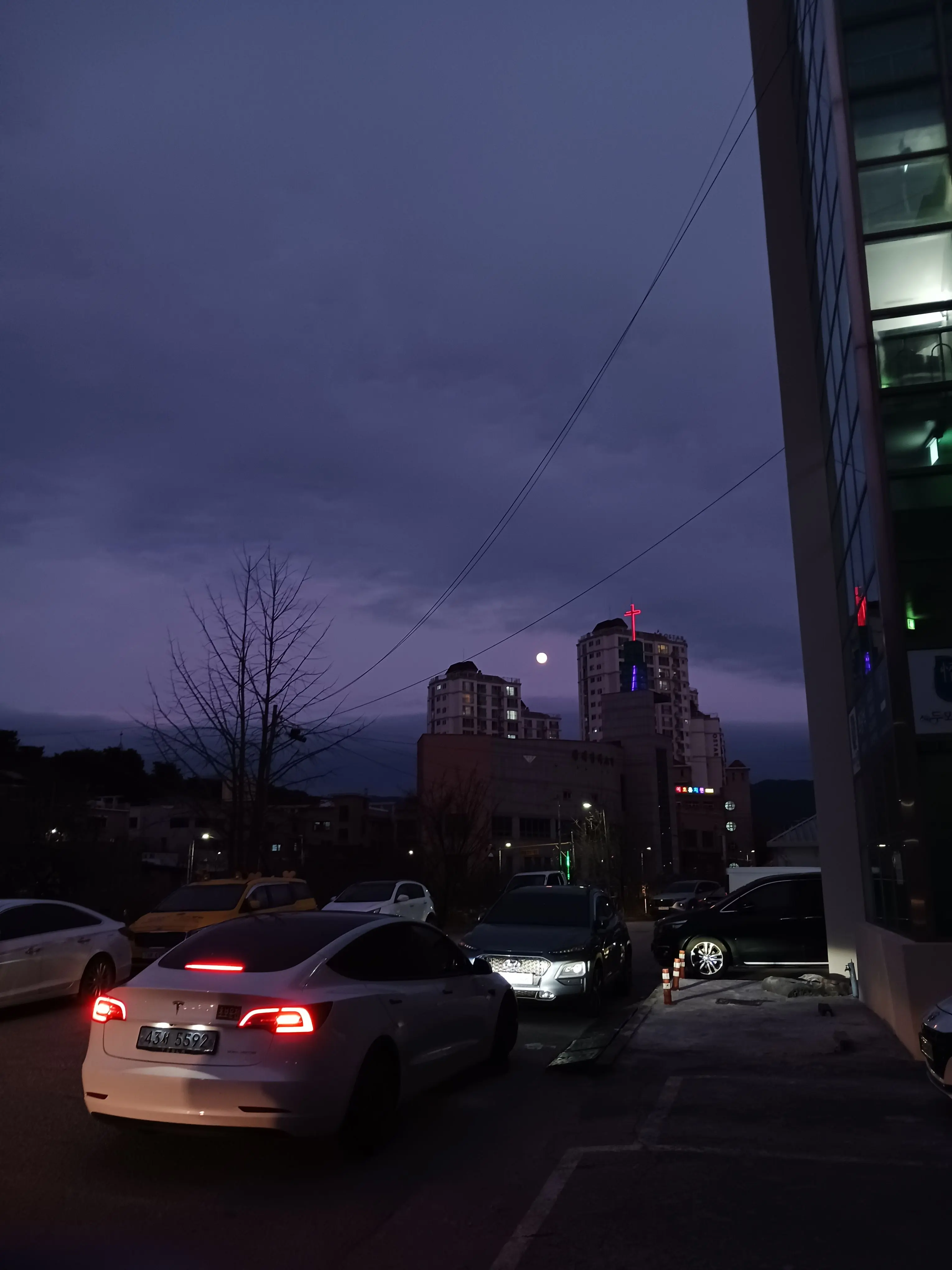 hiru_yeonhi의 어렸을 때 버렸던 물고기.