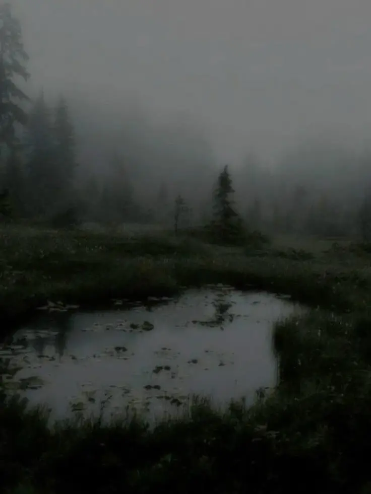 TastyBone6337의 Creppy forest