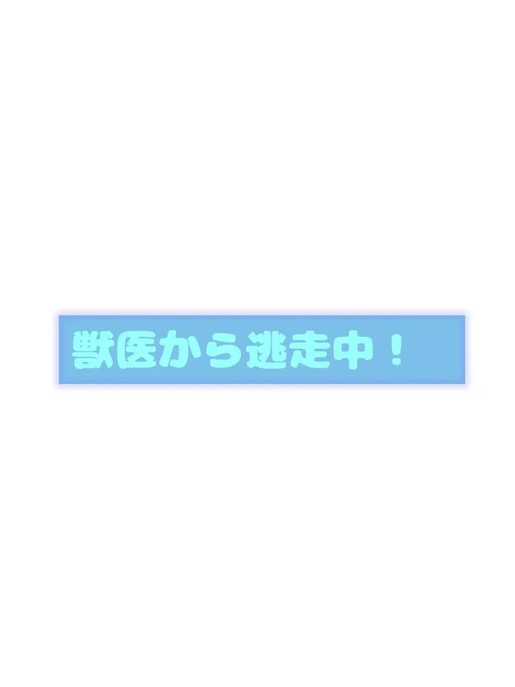 Kanadetyanndayo의 獣医から逃走中！