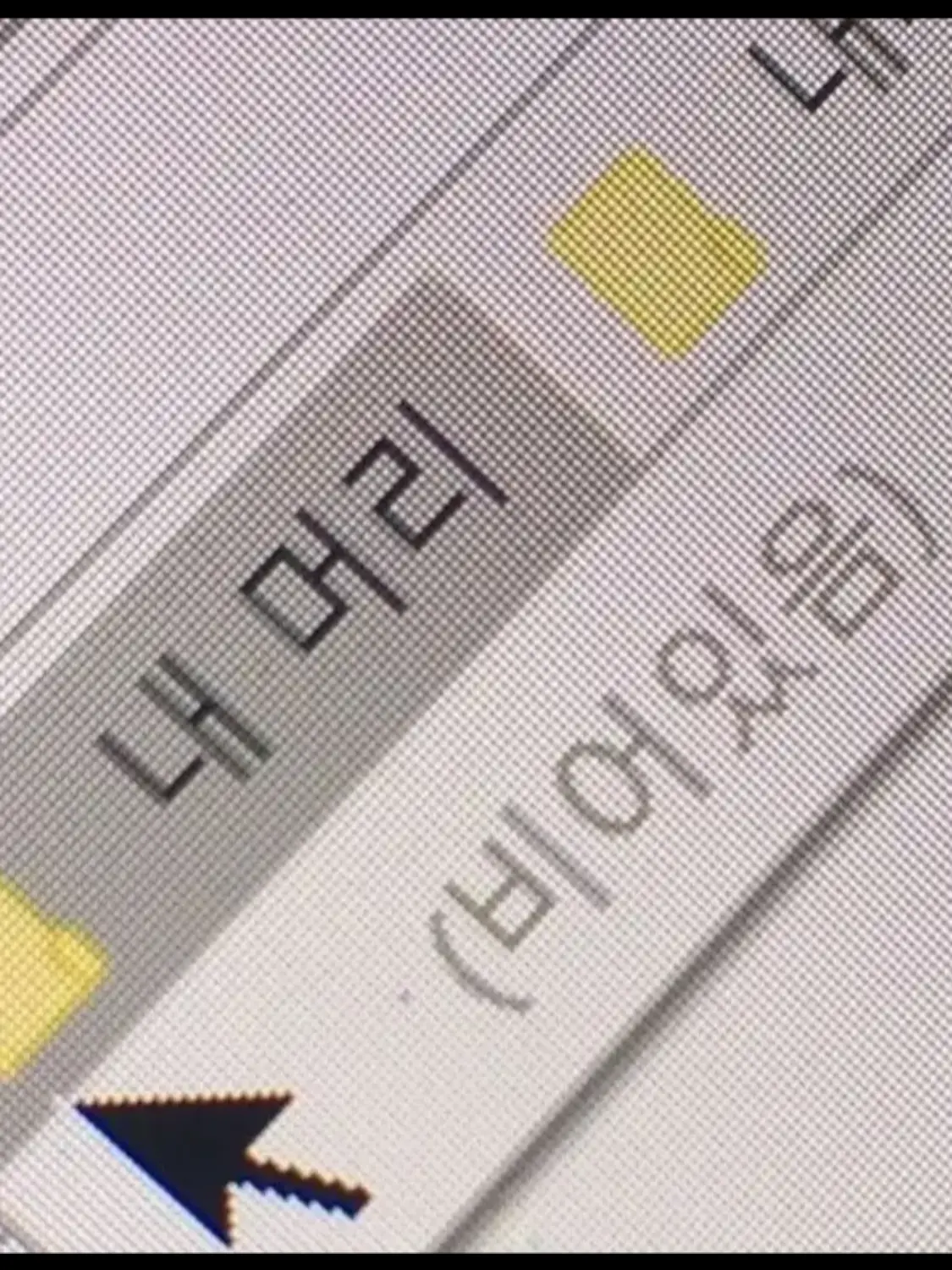 FustyWiper0299의 리레볼루션(아이돌)+리온님 포함