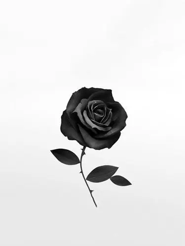 NimbleRobin2486의 스파이 한지성