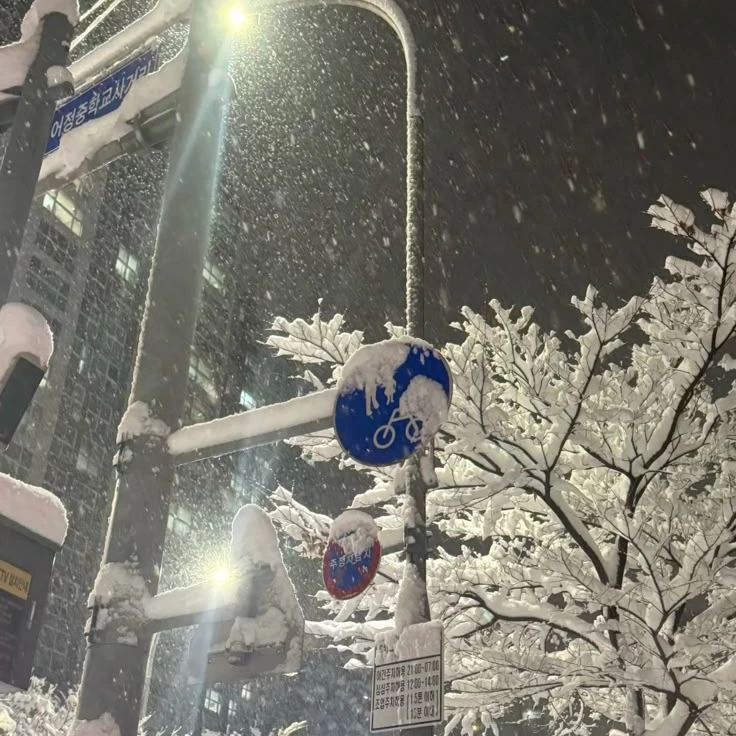 오 하민