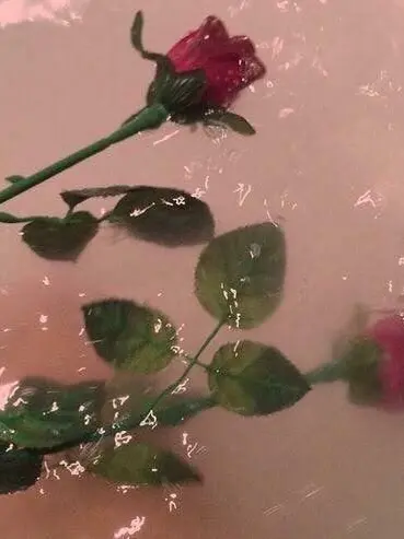 OldCopy3235의 탈출한 실험체가 우리집에 산다면?