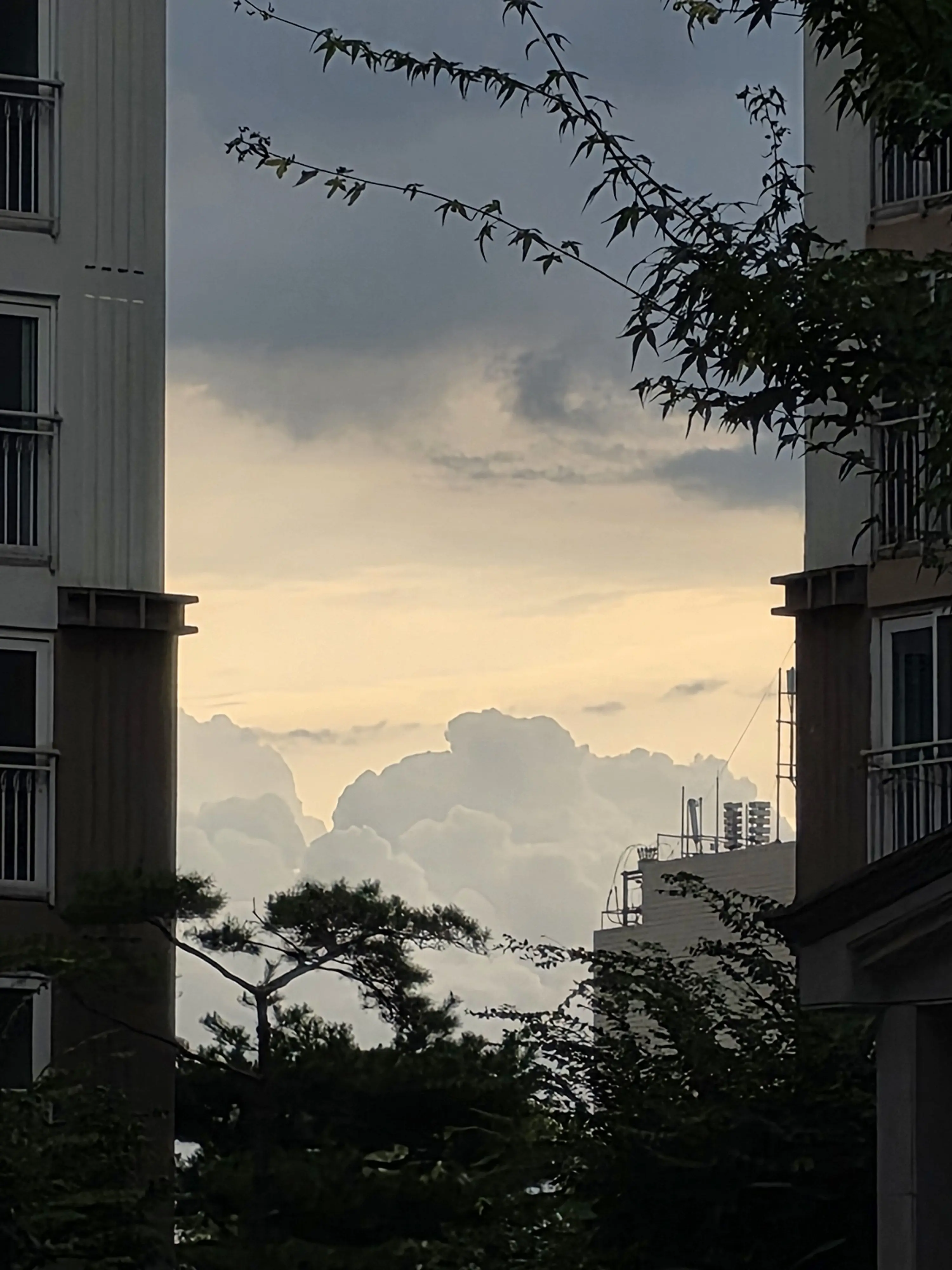 MayDAY-LoveDAY의 ㅇㅎㅇㅇ