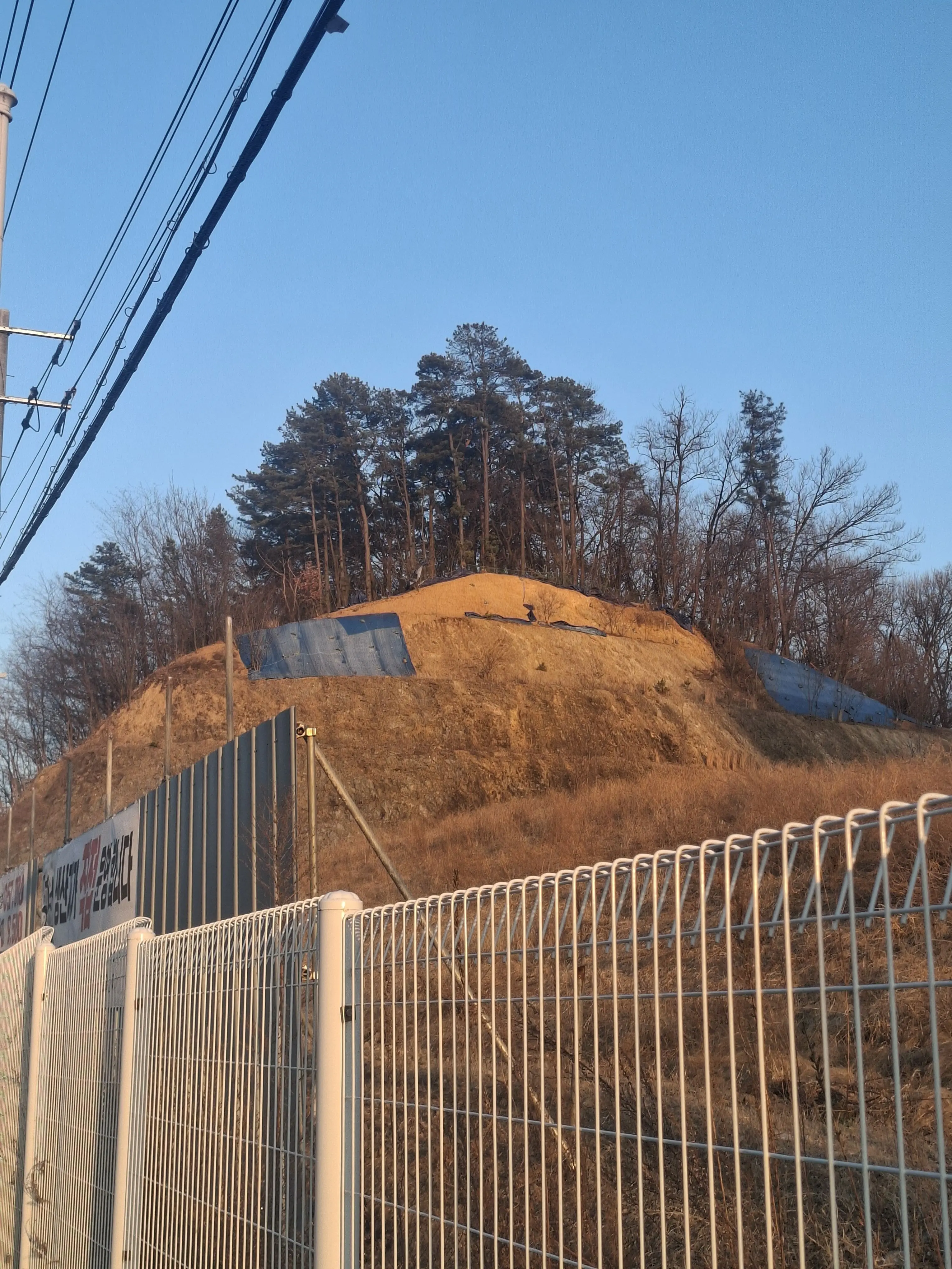 YAMMYMAN의 나만 할거임!