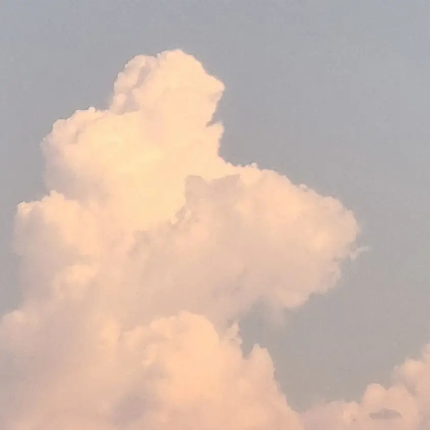 UrbanCheek9703의 덕개